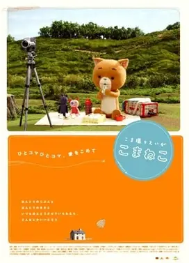 追逐拍摄的可玛猫