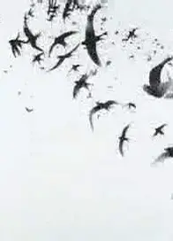 调音