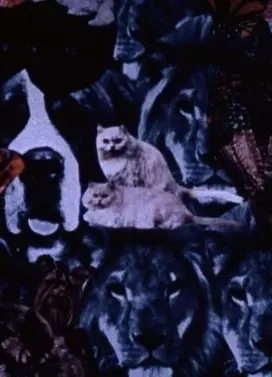 You’re Not Real Pretty but You’re Mine…