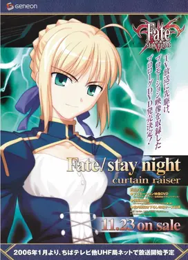 Fate/stay night curtain raiser