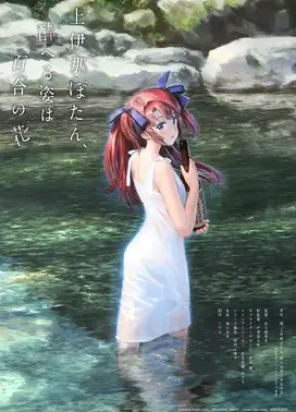 上伊那牡丹，酒醉身姿似百合花般