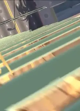 加利福尼亚的爱情