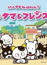 タマ&フレンズ ~うちのタマ知りませんか?~