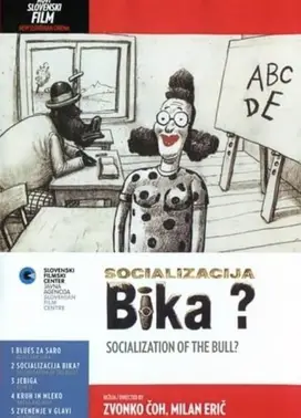 公牛的社会化问题?