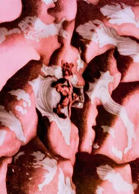 Offentlige røst, Den