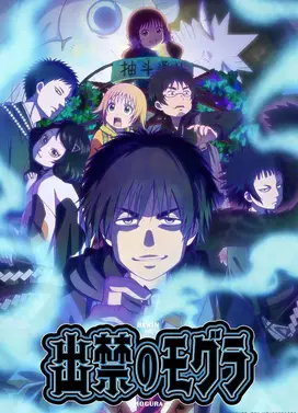 禁止出入的鼹鼠