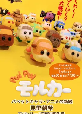 PUI PUI 天竺鼠车车