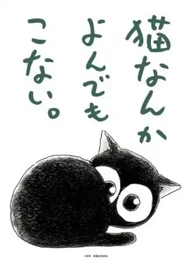 为什么猫都叫不来