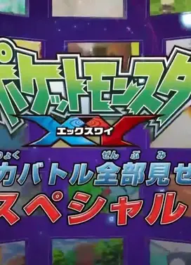 宝可梦 2014大晦日超盛大特别篇！！