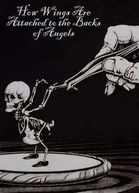 天使羽翼的诞生