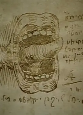 莱昂纳多的日记