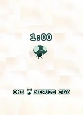 苍蝇一分钟的生命