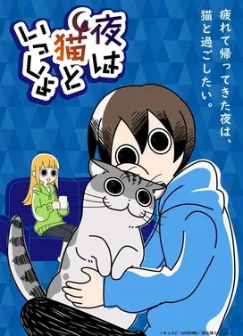 关于养猫我一直是新手