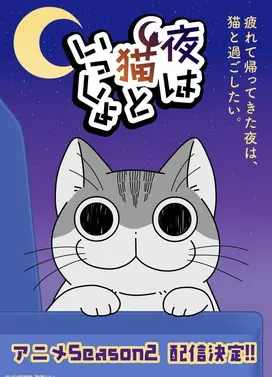 关于养猫我一直是新手 第二季