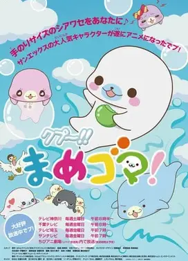 海豹宝宝