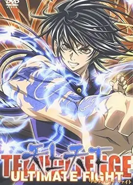 天上天下 终极格斗