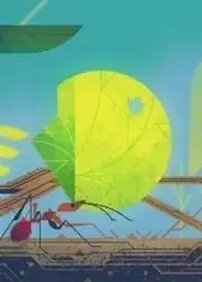 自然的形式:理解我们的宇宙