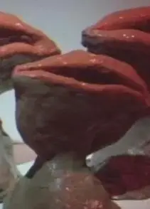 美好，娇小，离去